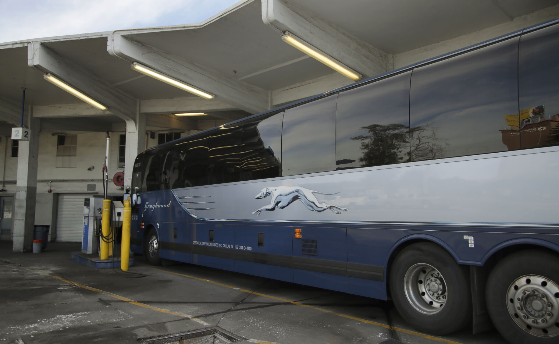 2020: Greyhound